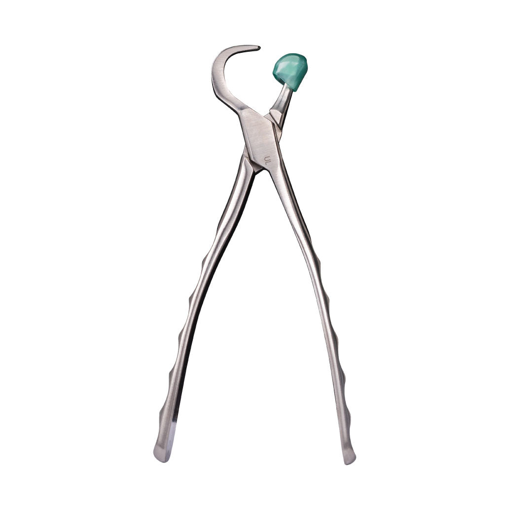 [HKIDEAS]Directa Physics Forceps Standard Series Upper Left GMX100 Each