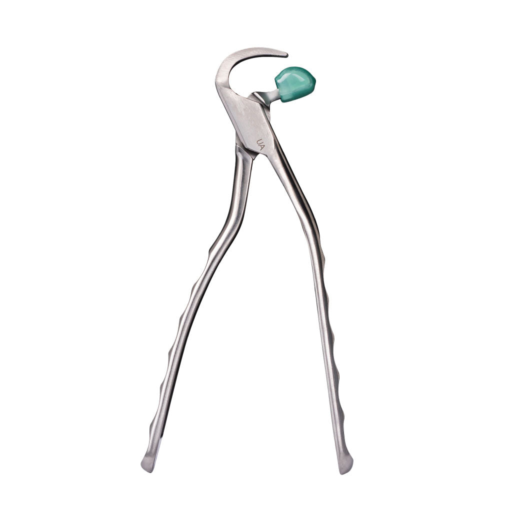 [HKIDEAS]Directa Physics Forceps Standard Series Upper Anterior GMX100 Each